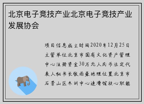 北京电子竞技产业北京电子竞技产业发展协会